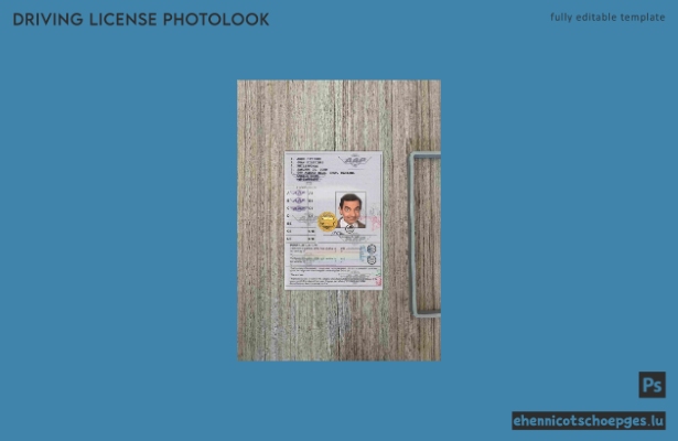 Internationaler Führerschein der Philippinen (Wiener Konvention) – Fotoansicht